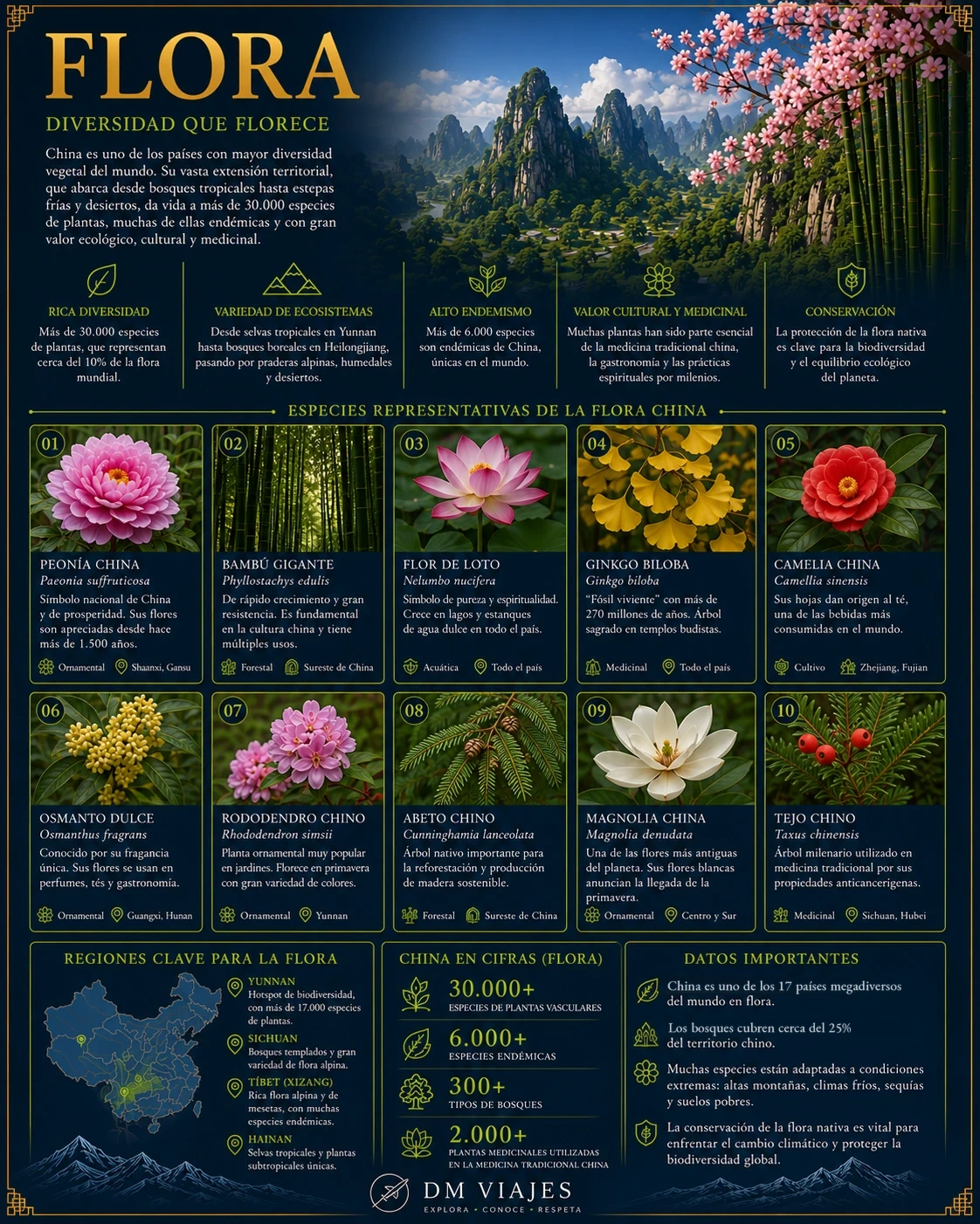 Tarjeta de la flora de China con diez especies representativas como la peonía, el loto y el ginkgo